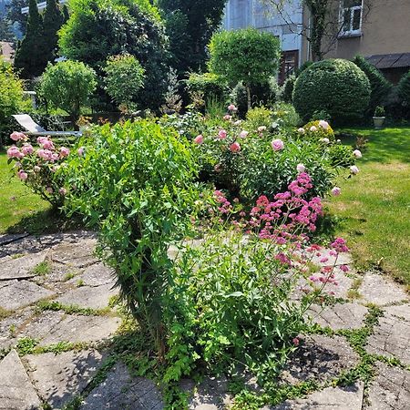 Ferienwohnung Les Colibris - Standing Et Jardin - 3 Etoiles Cluses Exterior foto
