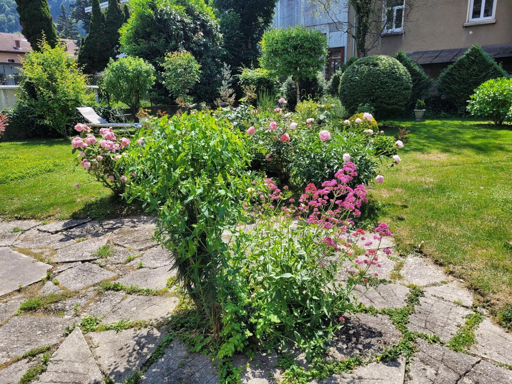 Ferienwohnung Les Colibris - Standing Et Jardin - 3 Etoiles Cluses Exterior foto